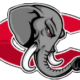 PINK ELEPHANTS